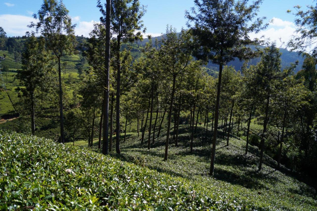 Oyo 238 Selva'S Guest House Нувара-Элия Экстерьер фото
